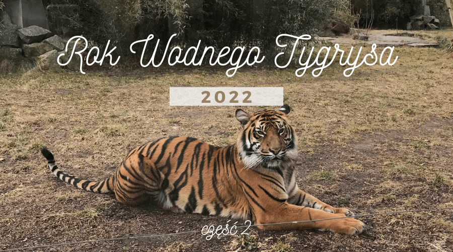 Jak zagrać z energią w 2022 roku Wodnego Tygrysa | Część 2