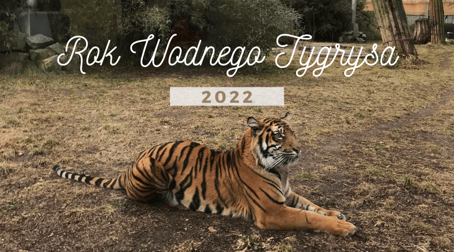 Jak zagrać z energią w 2022 roku Wodnego Tygrysa | Część 1
